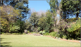 View property
